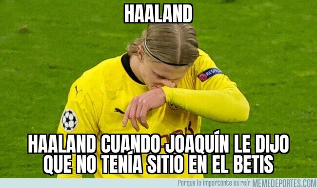 1164087 - No es fácil de asimilar