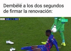 Enlace a Lo que pasará si acaba renovando