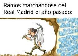 Enlace a Solo debía esperar un poco