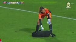 Enlace a La tierna invasión de un juguetón perrito en el sudamericano femenino. Que se agregue el tiempo que sea necesario.