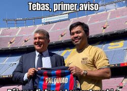 Enlace a ¡Cuidado, Tebas!