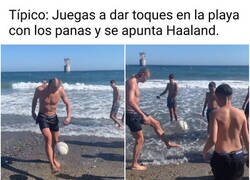 Enlace a Cosas que pasan en Marbella