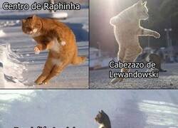 Enlace a Y todos contentos.