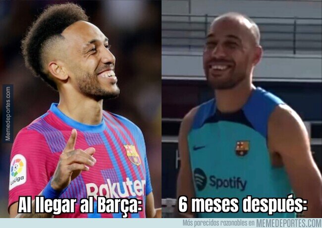 1164778 - La vida en Can Barça es estresante