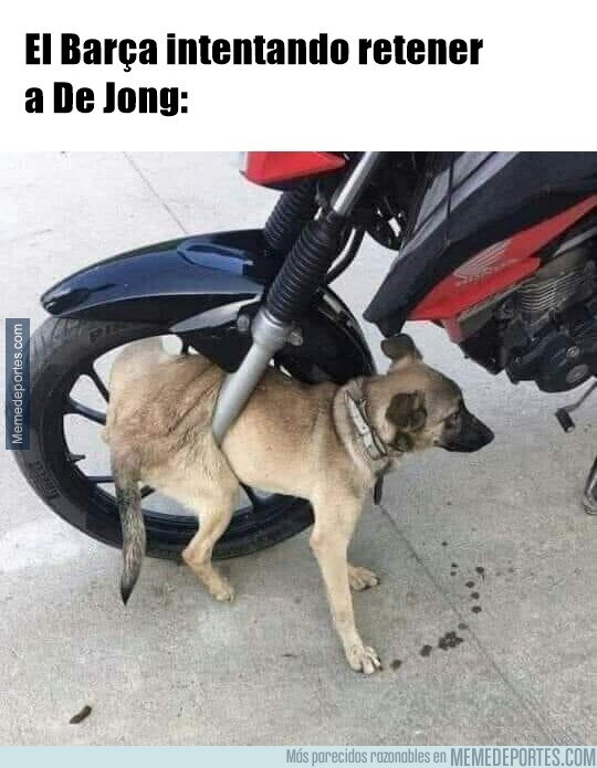 1164812 - De aquí no te vas
