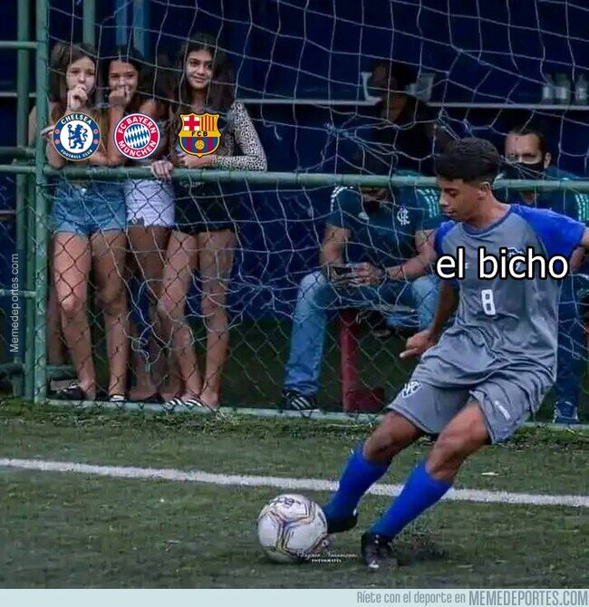 1164818 - Novias para el bicho
