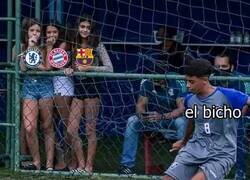 Enlace a Novias para el bicho