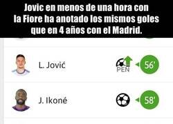 Enlace a Parece hecho a propósito