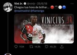 Enlace a Tengo miedo