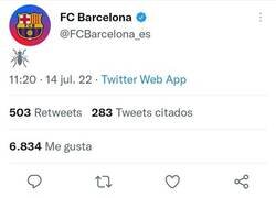 Enlace a ¿Cómo recibirán los aficionados la renovación del 'mosquito'?