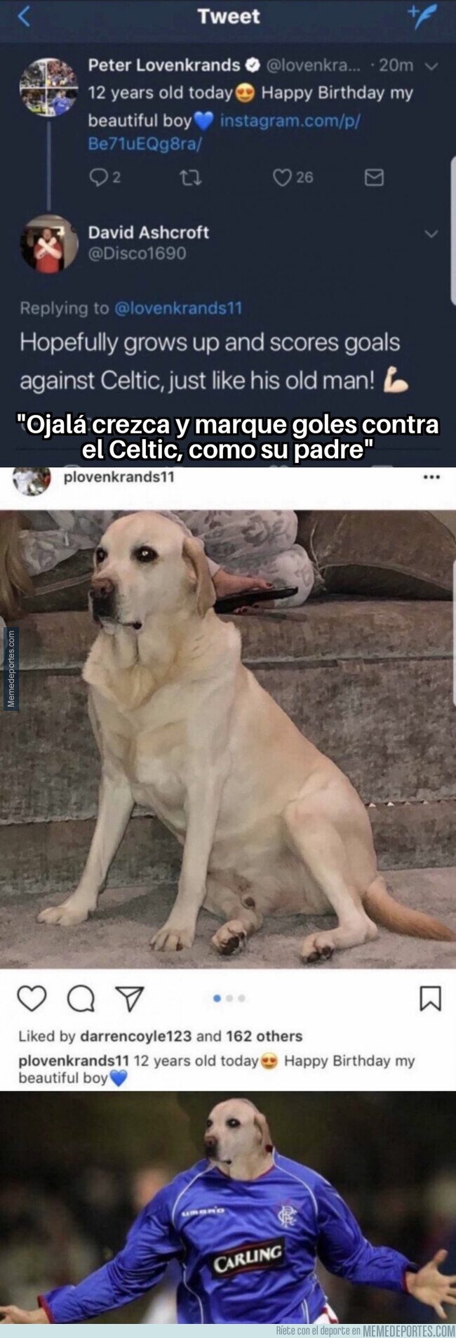 1165501 - Cuando ni te molestas en abrir la foto
