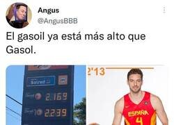 Enlace a Pau Gasoil