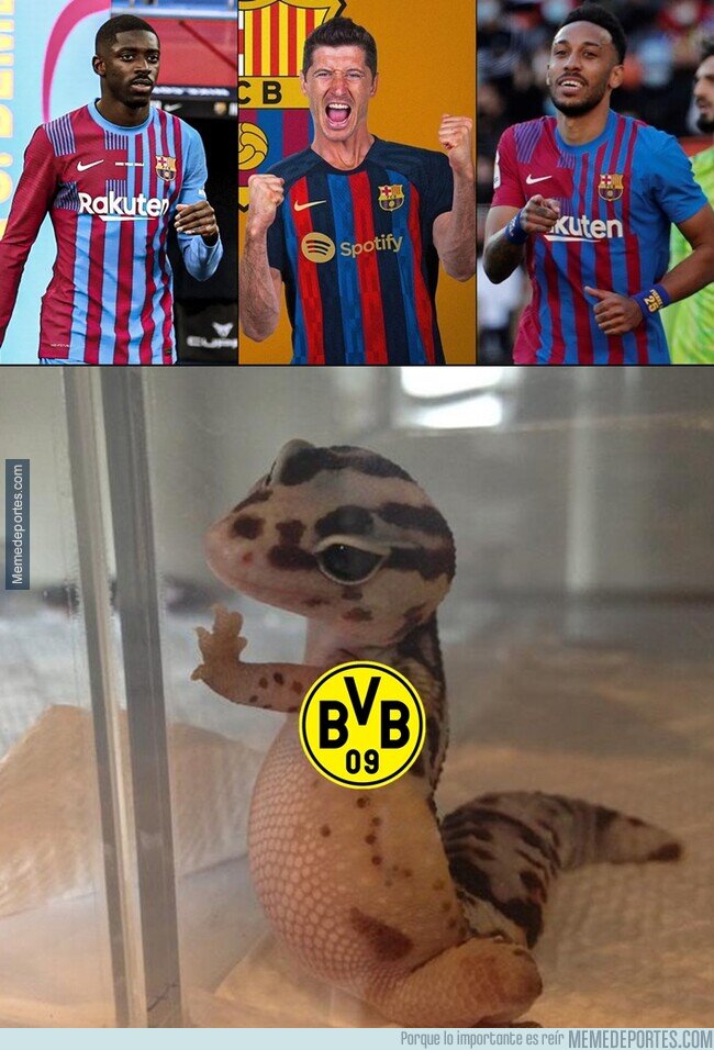 1165628 - Un tridente descubierto por cierto equipo de amarillo y negro