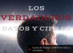 Enlace a Datos y cifras