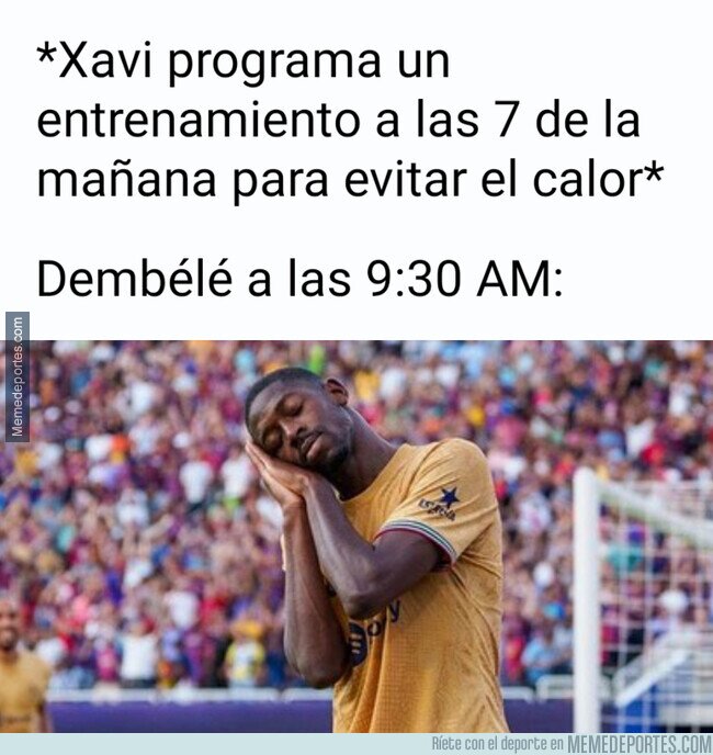 1166536 - Nos lo ha puesto a huevo
