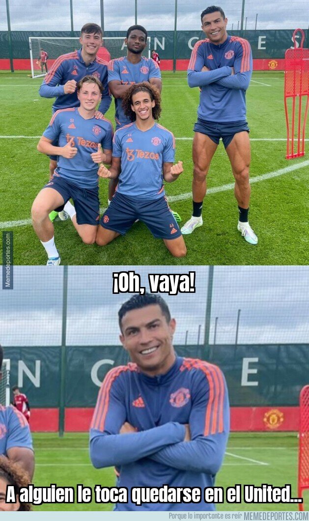 1166822 - Al bicho le ha tocado apechugar