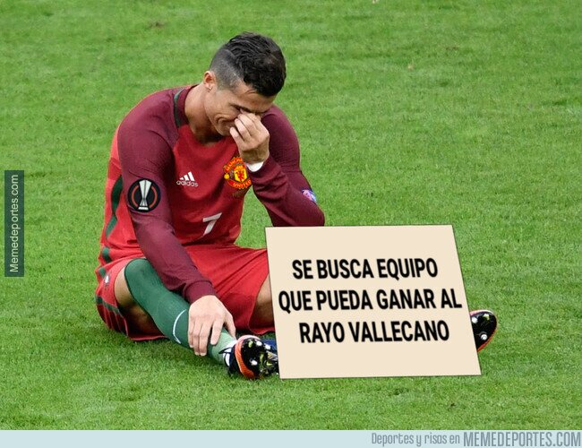 1166904 - El bicho sigue buscando