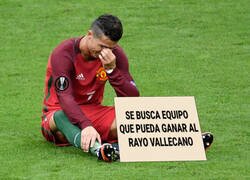 Enlace a El bicho sigue buscando