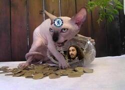 Enlace a Protegedle con alma y vida.