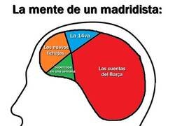 Enlace a Menudo estrés