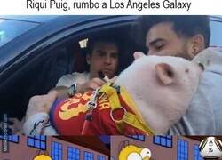 Enlace a Ironías de la vida