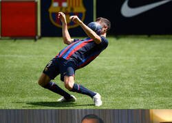 Enlace a Robert Ibrahimovic