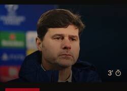 Enlace a Las víctimas que la bestia blanca va dejando