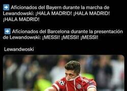 Enlace a Los aficionados más raros de Europa