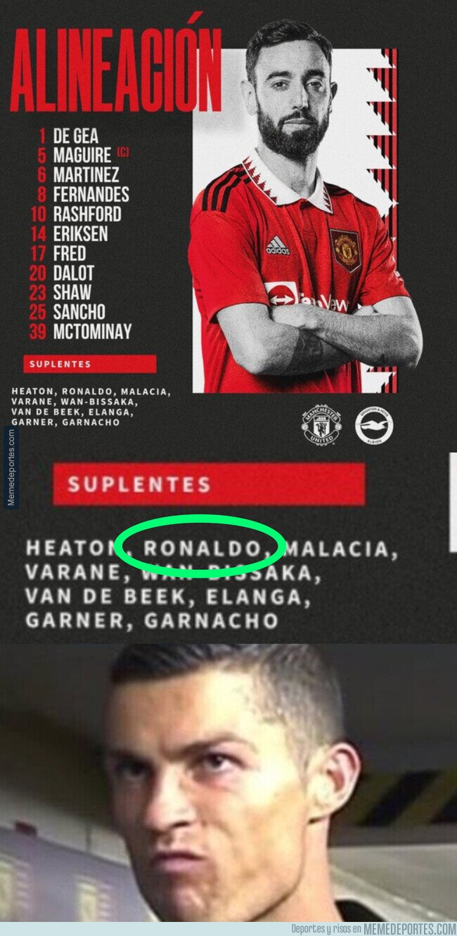 1167277 - Banquillo para el bicho