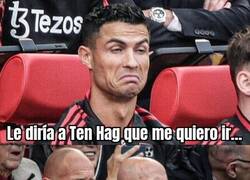 Enlace a ¿Por qué veo dos Ten Hags?