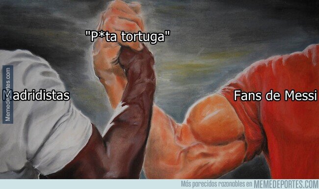 1167890 - No hay tortuga grata