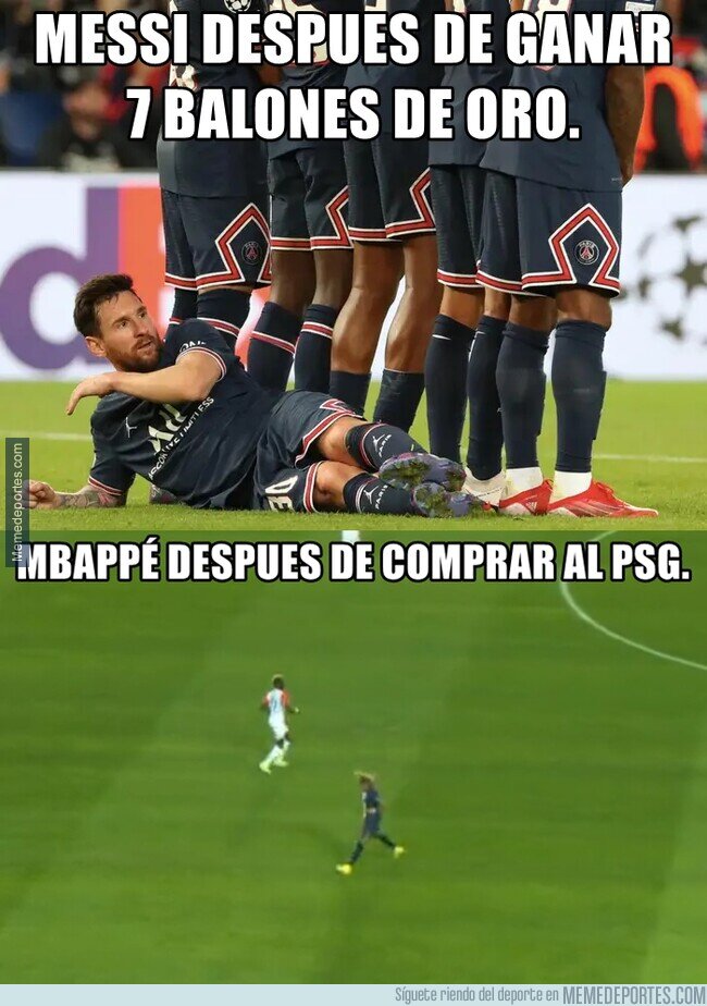 1167893 - El perro y la tortuga