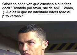 Enlace a No creo que sea su culpa