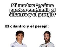 Enlace a Jefazos de la defensa 