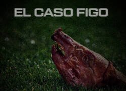 Enlace a La versión del cerdo tiene más credibilidad que la de Florentino