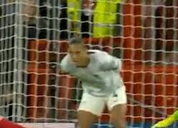 Enlace a Simplemente Van Dijk