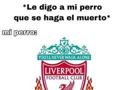 Enlace a No están bien