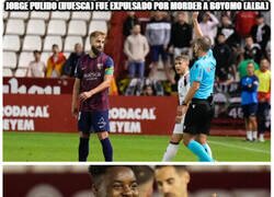 Enlace a No le culpo