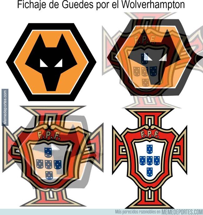 1168924 - lobos lusos similares letras