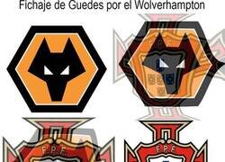 Enlace a lobos lusos similares letras