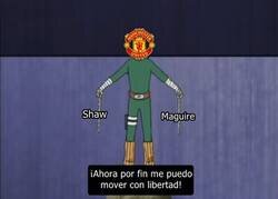 Enlace a Pesados lastres