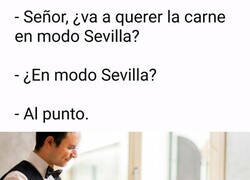 Enlace a Solo llevan 1 de 12