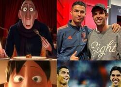 Enlace a Vaya reencuentro