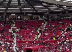 Enlace a El viejo bicho ya no es lo que era...