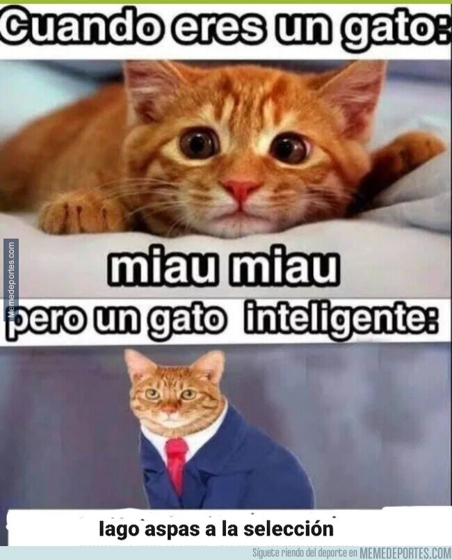 1169466 - Aspas por siempre