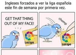 Enlace a ¿Pero que es esto?