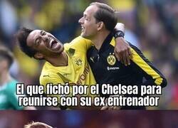 Enlace a A Cucurella no le habrá dado tiempo de añorar a Graham Potter