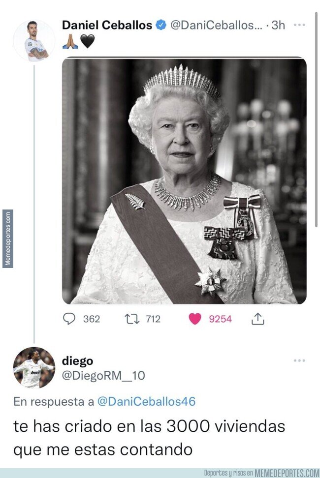 1169883 - Vamos Dani, por favor...