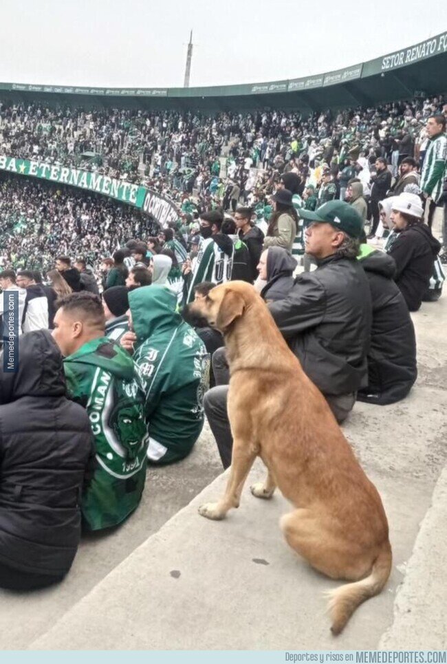 1169929 - Silencio, rueda el balón
