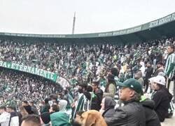 Enlace a Silencio, rueda el balón
